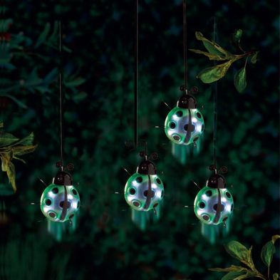 See more information about the Green Ladybird Solar Garden Light Ornament Decoration 6 White LED - 16cm by Bright Garden