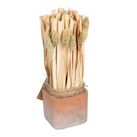 See more information about the Dried Grass Bouquet Artificial Plant - 23cm