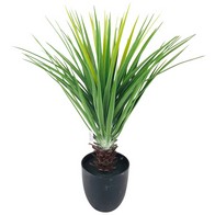 See more information about the Pineapple Tree Artificial Plant Green - 68cm