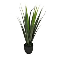 See more information about the Aloe Vera Artificial Plant Green - 80cm
