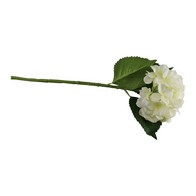 See more information about the Hydrangea Artificial Flower White - 49cm