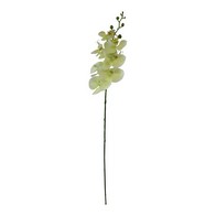 See more information about the Orchid Artificial Flower Cream - 85cm