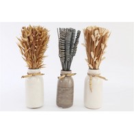 See more information about the Set Of Three Dried Deco In Vases
