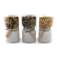 See more information about the Set of 3 Dried Grasses In Ceramic Pots
